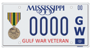 Gulf War Veteran